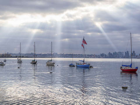 Silver morning
