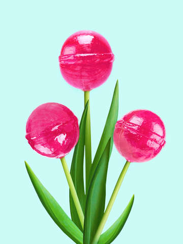 Tulipops
