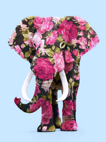 Floral elphant