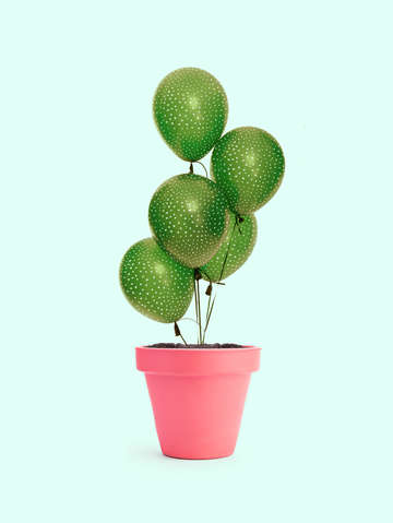 Cactus balloon