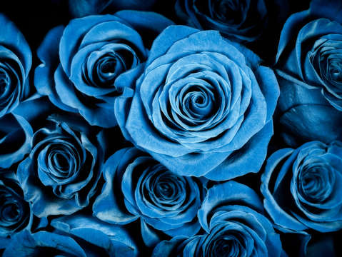 Moody blue rose bouquet