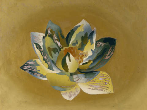 Lotus Flower