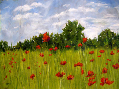 Poppies 5