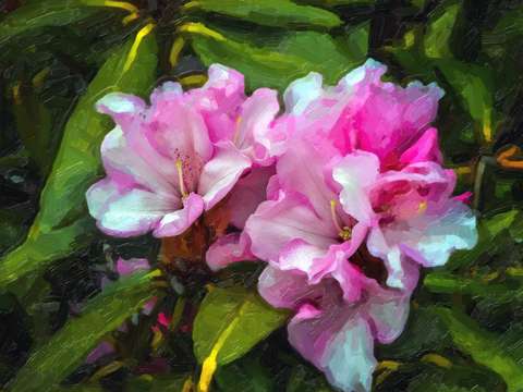 Painterly 1