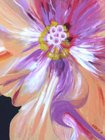 Hibiscus on a whim on fire