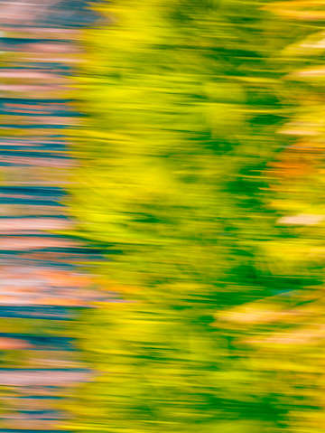 Abstract moving trees background green warm tones