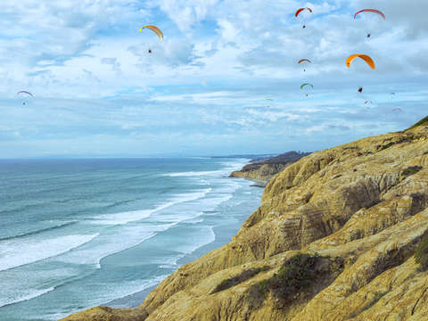 Hanging out above la jolla