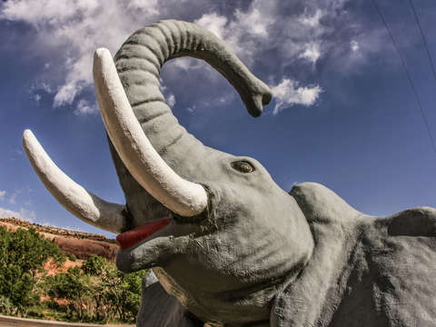 Happy elephant