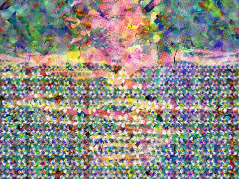 Meadow sunset 2