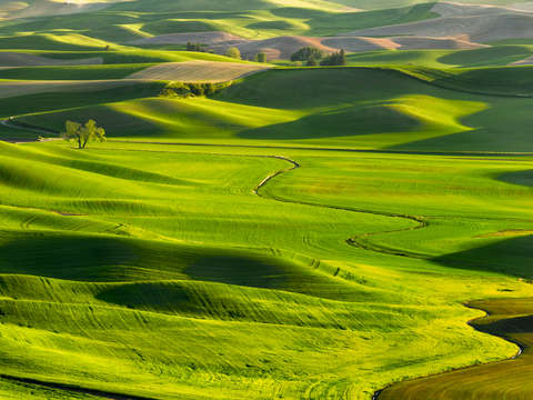 Winding Beauty