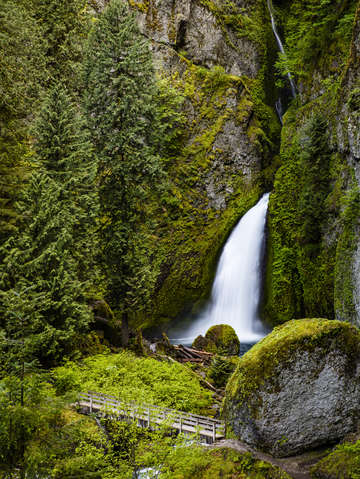 Wahcella falls foot bridge