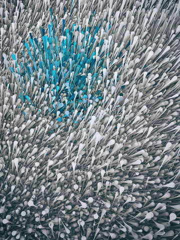Flux number 1