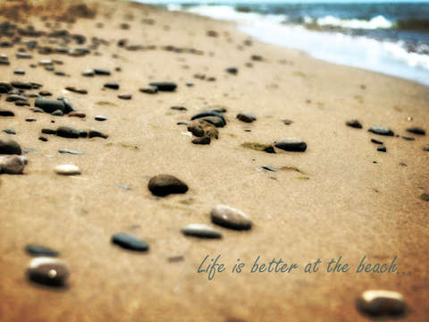 Life is better at the beach