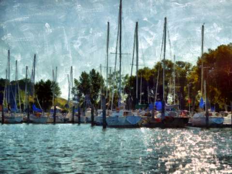 Summer sailboats