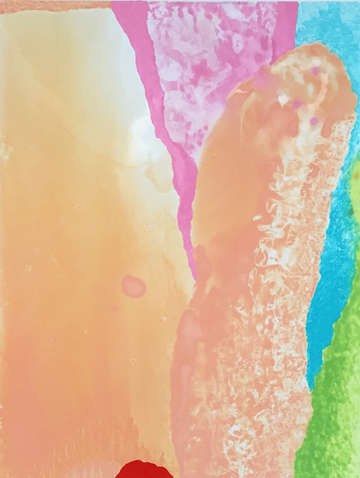 Jellies 3