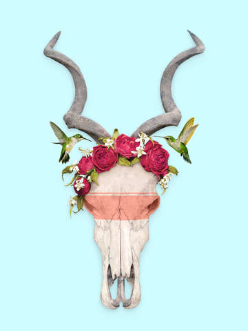 Frida skull