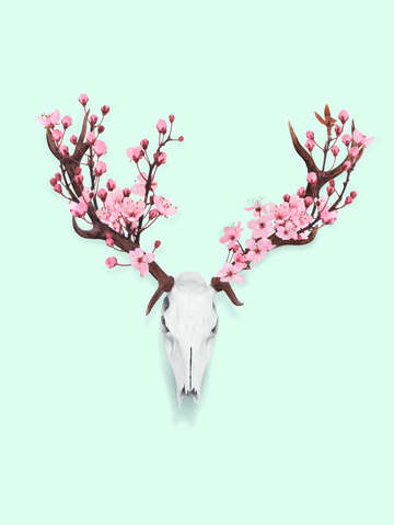 Sherry blossom skull