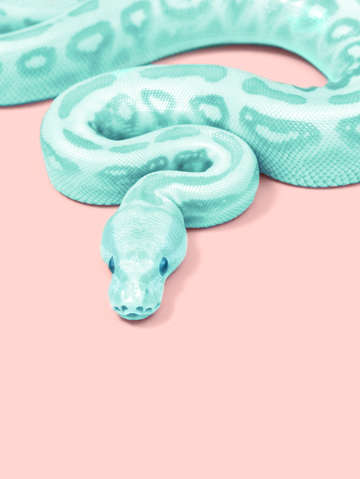 Green snake 2