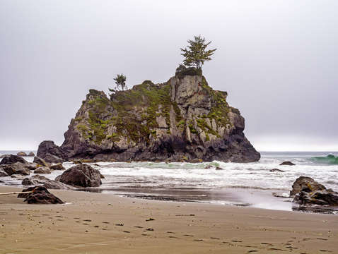 Tree on top