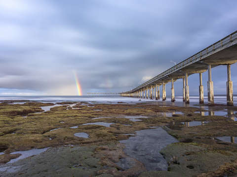 Pot o gold