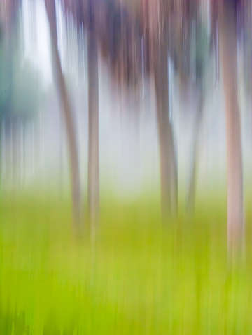Abstract moving rees background green tan