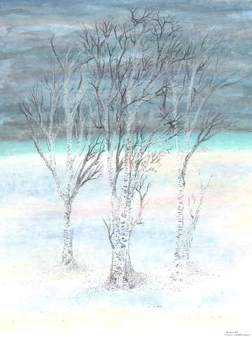 Under northern skies