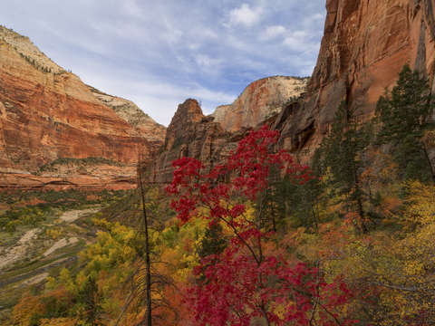 Zion Canyon