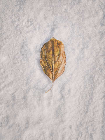 Clash of seasons