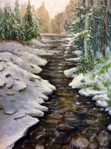 Study of the snowy creek