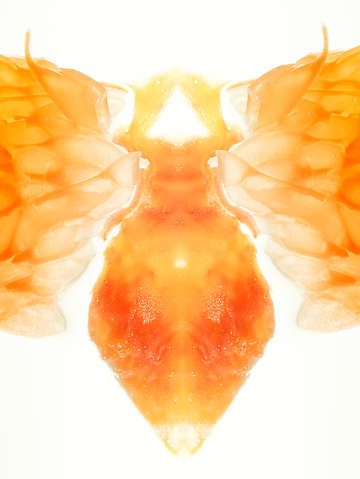 Blood Orange Insect I