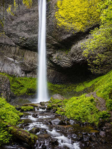 Latourell Falls Bright Yellow-Green Moss