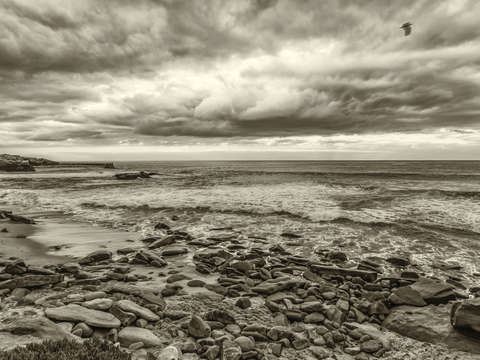 From shell beach