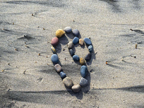Heart within a heart