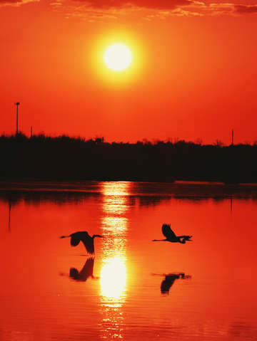 Heron perfection