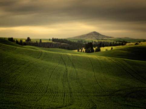 Palouse 1