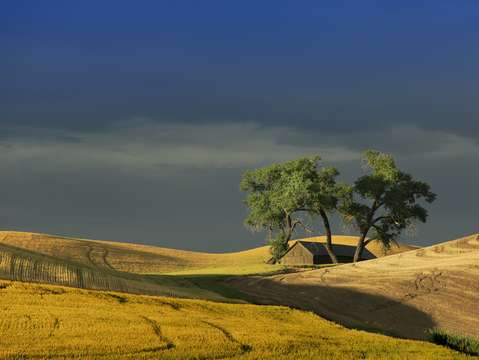 Palouse 6