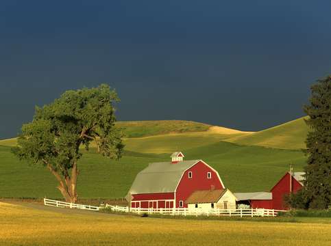 Palouse 7 red barn