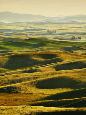 Palouse 14