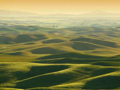 Palouse 16