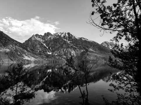 Bold reflections