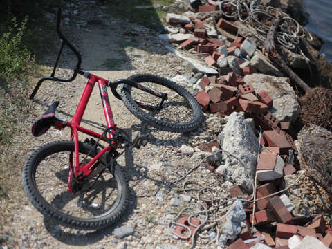 Bmx bike in virginia
