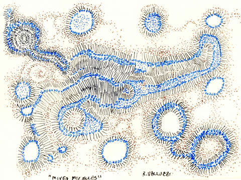 Mixed micelles