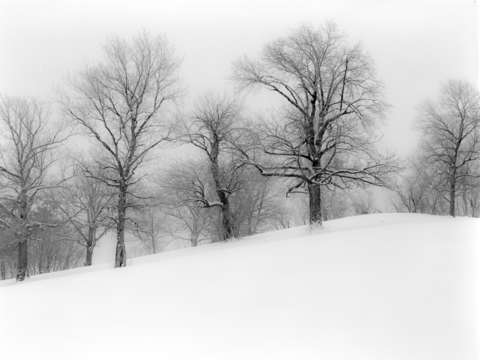 Snowy hill