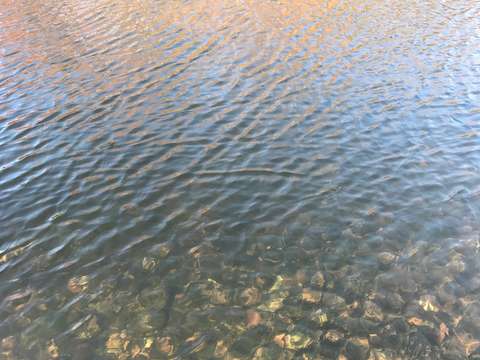 Reflections in the water