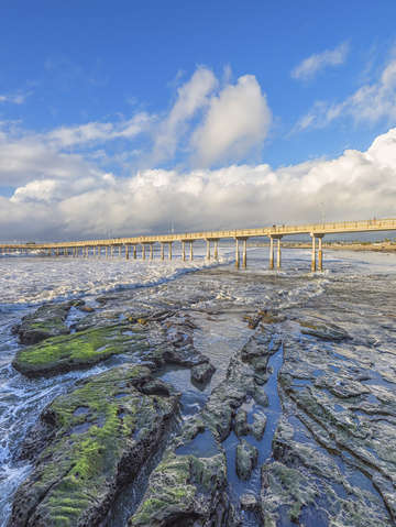 Ob tidepools