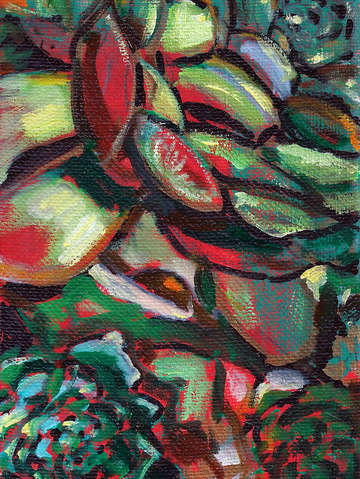 Succulents