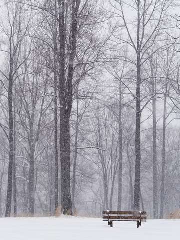 Bench in snow