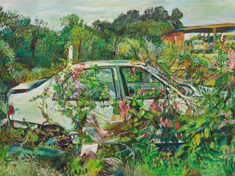 Overgrown car in barbuda
