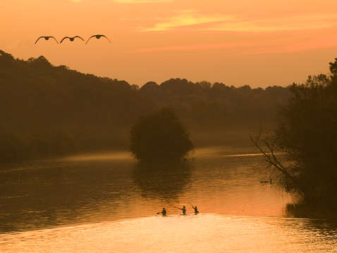Chattahoochee river birds kayaks 05aj110743