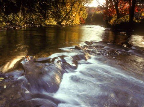 Chattahoochee river fall colors 16r0310
